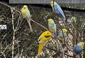 Bad Salzuflen in fünf Bildern