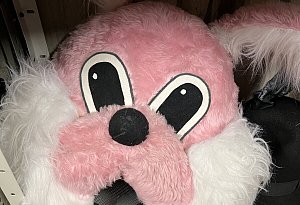 So sieht es im Kost&uuml;mfundus am Landestheater Detmold aus