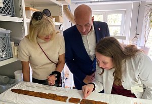 Arch&auml;ologische Funde aus Schieder-Schwalenberg