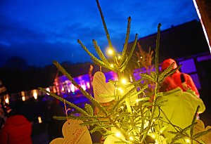 Die schönsten Eindrücke vom Museumsadvent im Freilichtmuseum