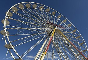 Wilbasen - ein Selbsttest