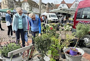 "Bad Salzuflen blüht auf"