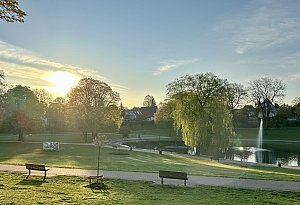 Bielefeld: Magnolien und M&uuml;ll - Impressionen aus dem beliebten B&uuml;rgerpark