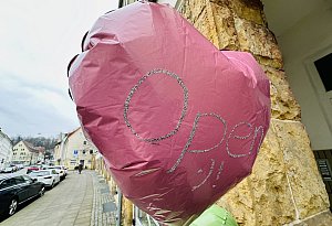 Zu Besuch bei Josephine Melcher von "Ballonlies" in Bielefeld