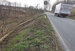 Sternberger Straße - Archivfoto: Sylvia Frevert