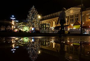 Ein Weihnachtsbaum spiegelt sich in einer Pfütze - Marijan Murat/dpa/dpa-tmn Ein Weihnachtsbaum spiegelt sich in einer Pfütze - Marijan Murat/dpa/dpa-tmn