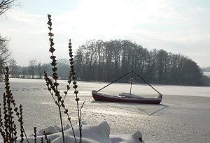 Schnee im Winter 2010