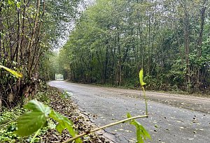 H&ouml;velhof/Paderborn: Neue Ermittlungen im "Cold Case" H&ouml;velhofer Taximord von 1994