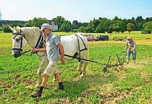 nic_2089b - 1 - Nicole Ellerbrake