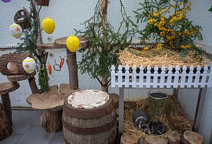 Ibbenbürener Kaninchenparadies