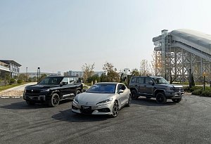 Die neue Denza-Familie aus dem Hause BYD - BYD/dpa-tmn