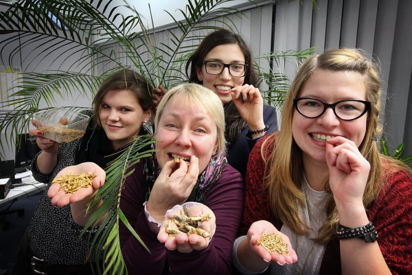 Janet König (von links), Astrid Sewing, Seda Hagemann und Freya Köhring haben sich getraut, und Mehlwürmer sowie Heuschrecken gegessen. - © Preuss
