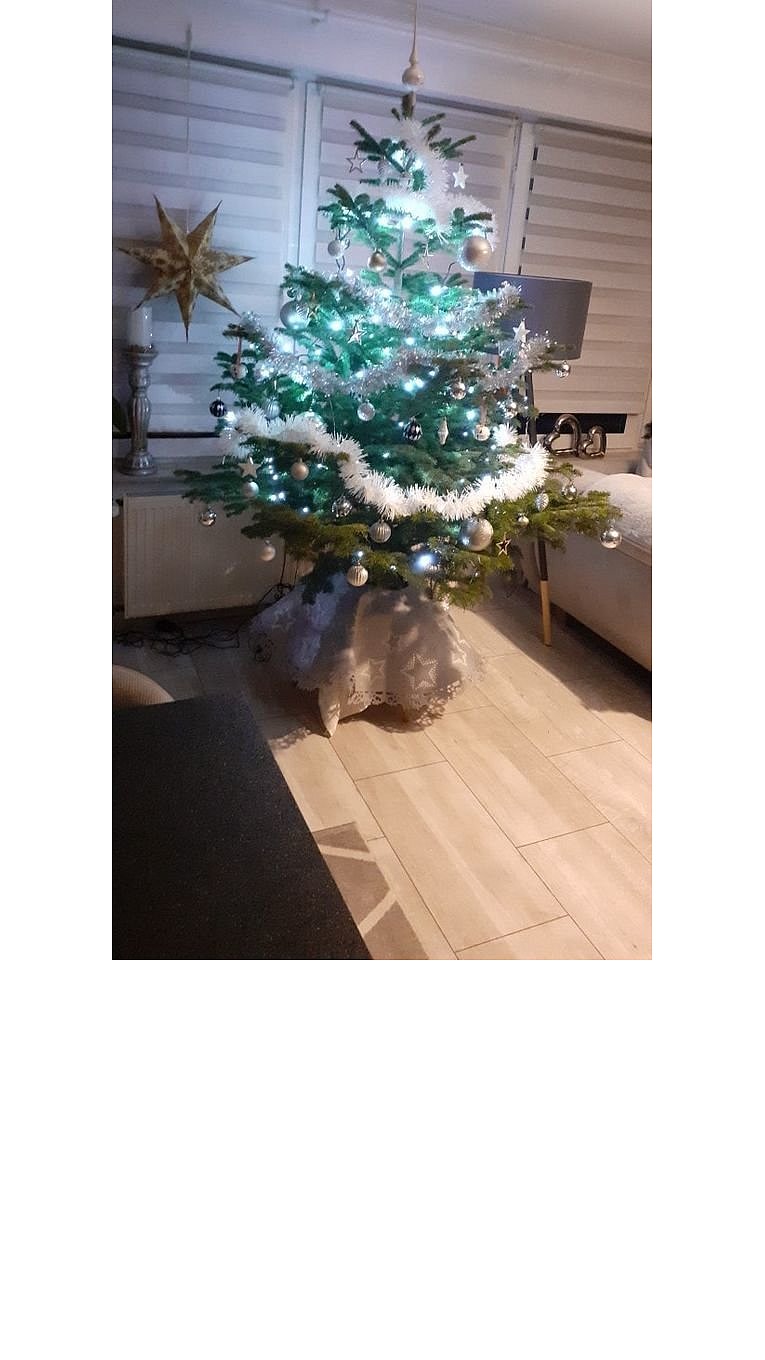 Weihnachtsbäume in Lippe