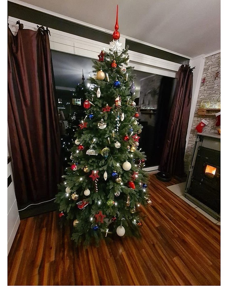 Weihnachtsbäume in Lippe