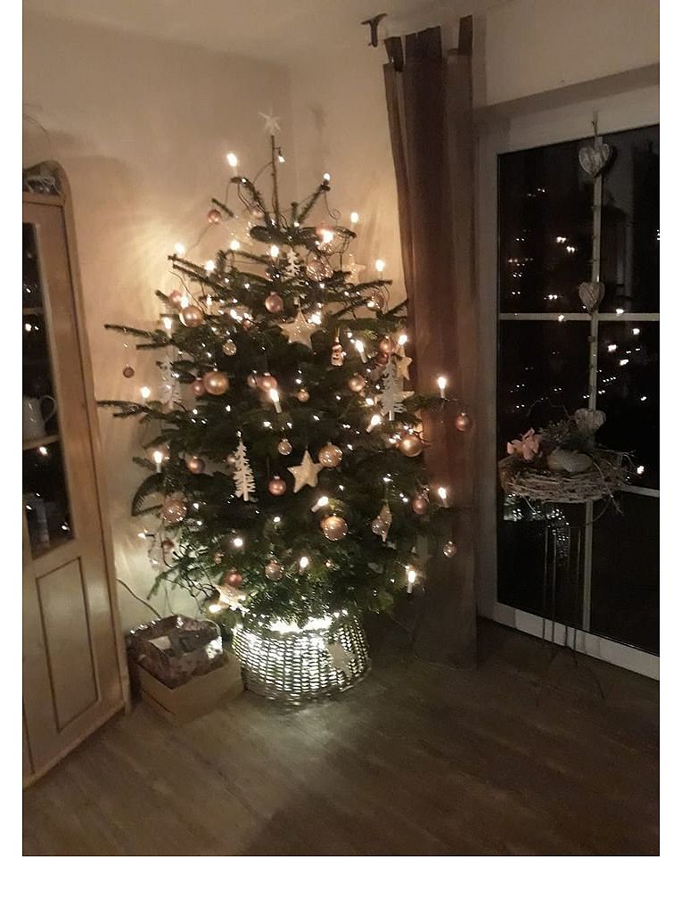 Weihnachtsbäume in Lippe