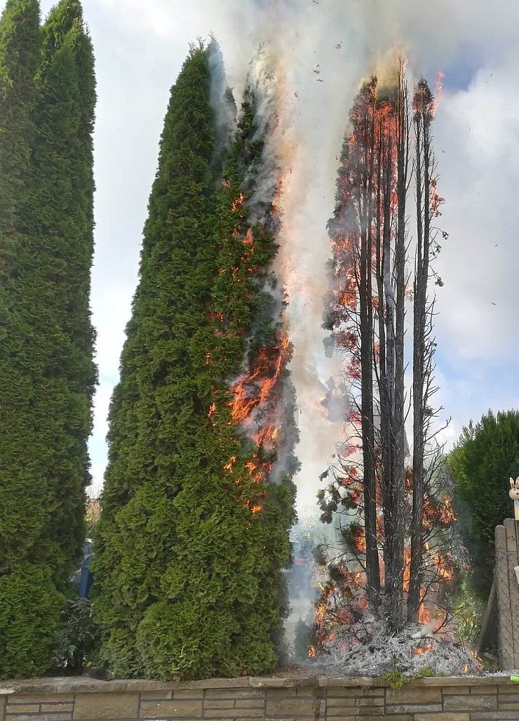 Brennende Thujahecke - © Feuerwehr Barntrup
