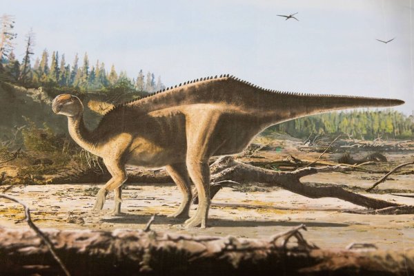 Künstlerische Darstellung von Istiorachis macaruthurae - © James Brown/University of Portsmouth/dpa