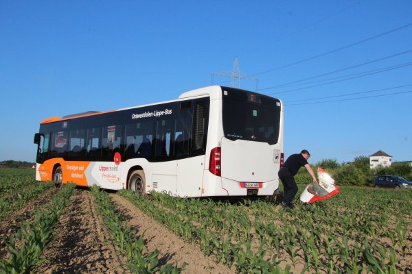 Bus landet auf dem Acker - © Micaela Breder