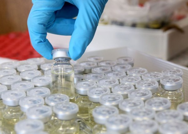 Ein Zollfahnder zeigt im Zollfahndungsamt sichergestellte Ampullen mit Anabolika. - © Roland Weihrauch/dpa