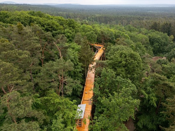 Der als «Klimawaldpfad» angedachte Baumwipfelpfad am Nürnberger Tiergarten soll den Wald spielerisch erlebbar machen und auch mit Kinderwagen und Rollstühlen zugänglich sein. - © Daniel Karmann/dpa