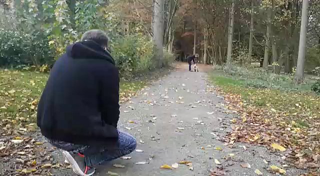 Endlich frei: Hutsch kann wieder rennen