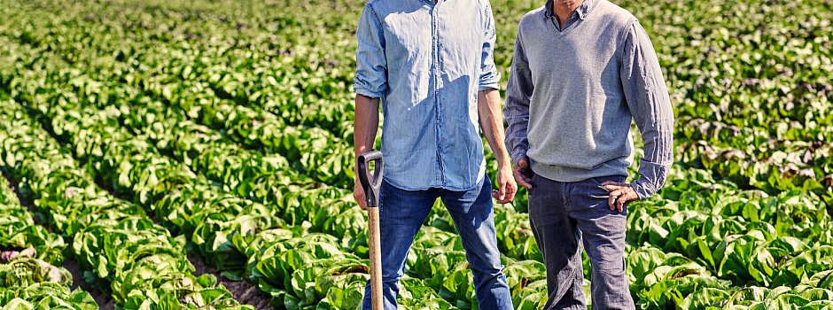 Bild zu OWL-Landwirte nutzen alte Anbauweise gegen Überschwemmungen und Dürre