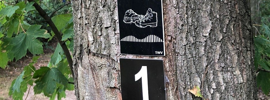 Bild zu Auf Rundwanderwegen den Salzufler Stadtwald erkunden