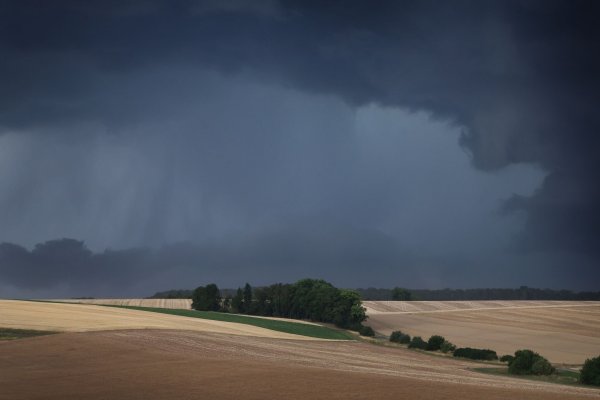 Gewitter und Regen werden vor allem im Süden und Osten Deutschlands erwartet. (Symbolbild) - © Karl-Josef Hildenbrand/dpa