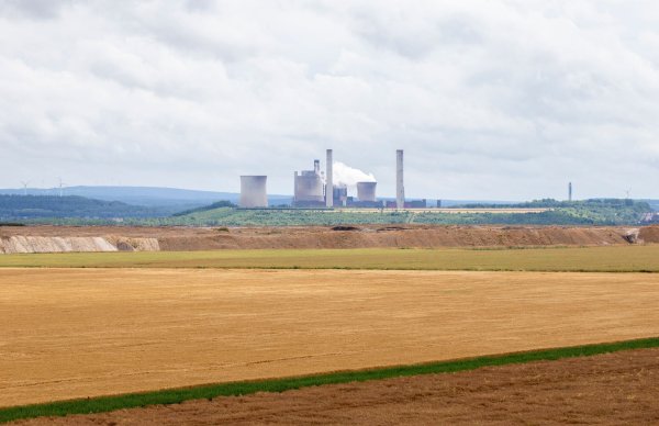 Die Umweltschutzorganisation BUND hat Microsoft aufgefordert, für den geplanten Bau von Großrechenzentren im Rheinischen Revier nicht mehr benötigte Kraftwerksareale oder andere Industriebrachen zu verwenden. (Symbolfoto) - © Thomas Banneyer/dpa