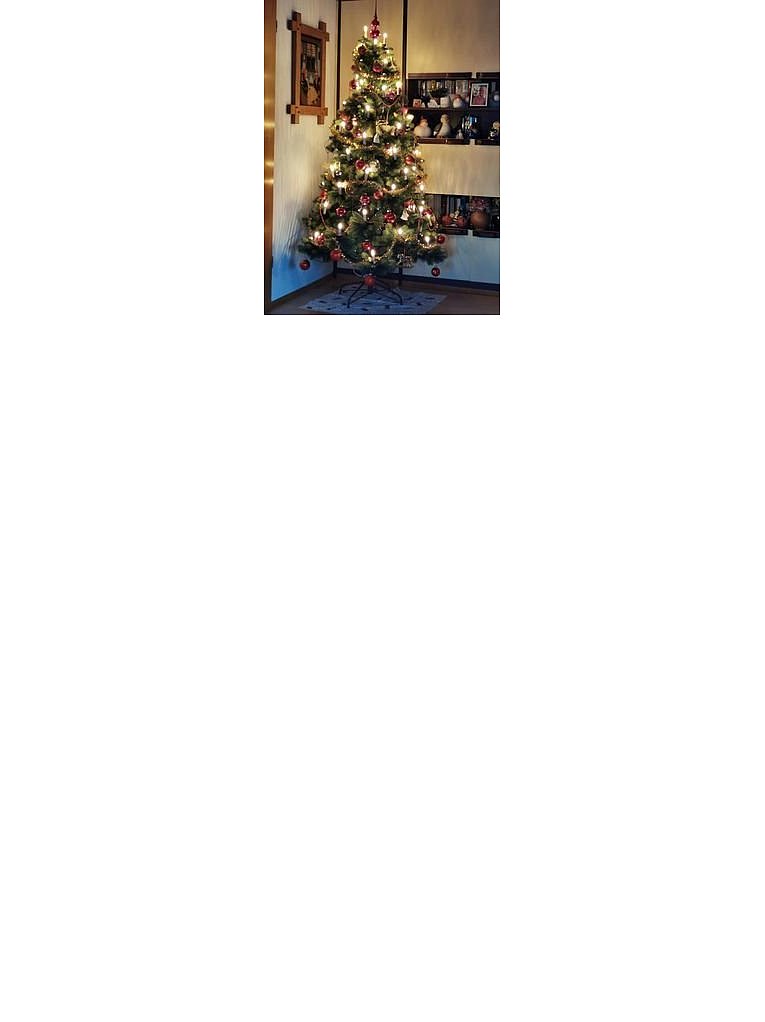 Weihnachtsbäume in Lippe