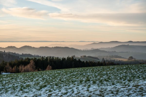 Weiße Weihnachten bleiben wohl den Mittelgebirgen vorbehalten (Archivbild). - © Silas Stein/dpa