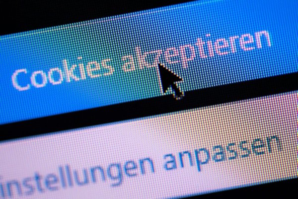Einer Bitkom-Umfrage zufolge sind drei Viertel der Internet-Nutzerinnen und -Nutzer von Cookie-Bannern genervt. - © Lino Mirgeler/dpa