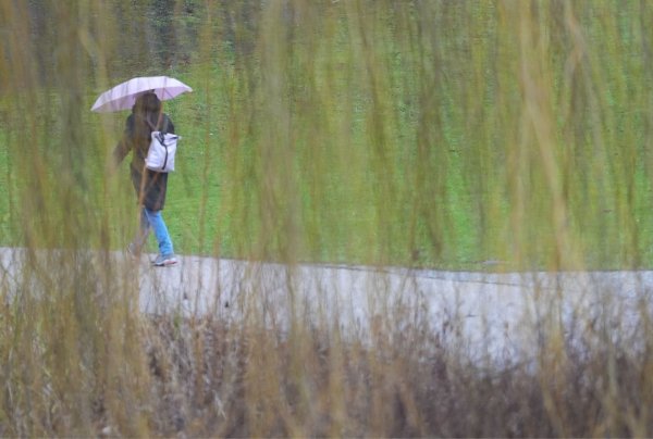 Wechselhaft wird das Wetter am Sonntag, es regnet und zeitweise kommt die Sonne heraus. - © Marcus Brandt/dpa