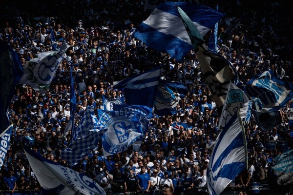 Binnen 72 Stunden haben sich über 4.000 Mitglieder 12.908 Anteile an der S04-Fördergenossenschaft gesichert. - © Fabian Strauch/dpa