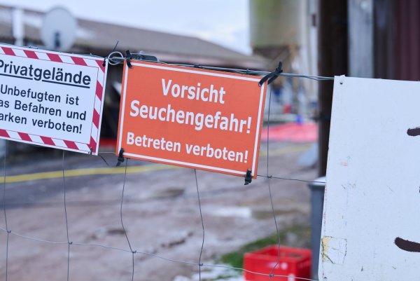 Die Auswirkungen des Seuchenausbruchs werden für die Branche wohl noch über Monate zu spüren sein. (Archivbild) - © Annette Riedl/dpa