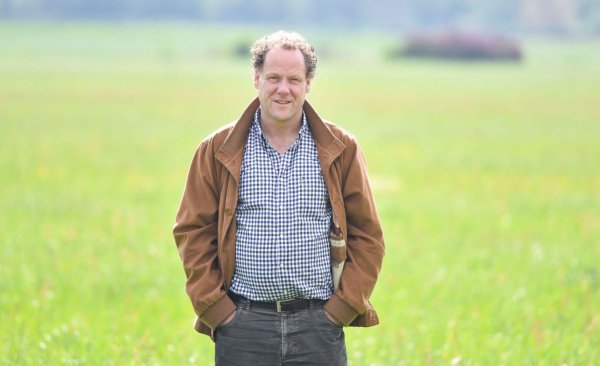 Der Milchproduzent Stefan Dürr ist seit Jahrzehnten in Russland tätig und hat dafür nun den staatlichen Orden der Freundschaft erhalten. (Archivbild) - © picture alliance / dpa