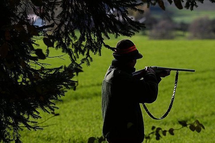 Jäger wollen Abschussrecht für wildernde Haustiere - © NRW