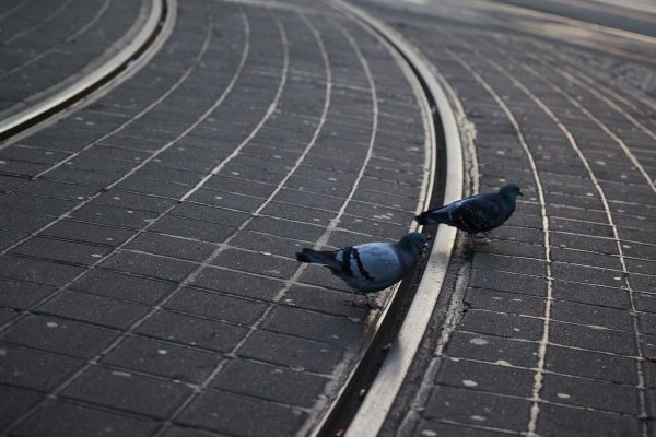 An vielen Stellen geht es gerade darum, wie der Wohlstand verteilt wird, und die Stimmung ist mitunter gereizt. Sind da auch Streiks in Deutschland mittlerweile härter als früher? - © Joerg Carstensen/dpa