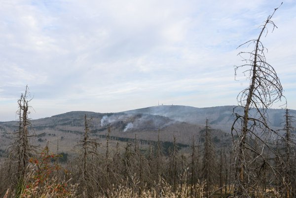 Es gibt noch mehrere Brandstellen am Brocken (Foto aktuell). - © Swen Pförtner/dpa