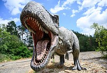 KINA---Von-zwitschernden-Dinosau - dpa