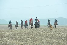 NIC_6658 - Nicole Ellerbrake