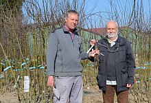 250321-bund-lemgo-alte-sorten - BUND Lippe