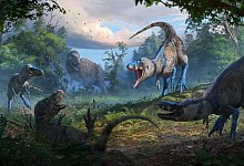 Rätsel um Tyrannosaurus rex gelöst - Anthony Hutchings/Nature/dpa