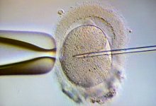 Urteil im Prozess um eine Eizellenspende - Foto: Klaus-Dietmar Gabbert/dpa-Zentralbild/dpa