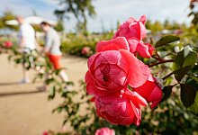 Bundesgartenschau 2023 - Uwe Anspach/dpa
