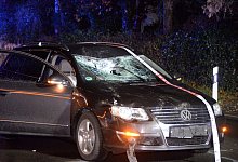 fs-dsc_4427 - Andreas Eickhoff