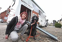 Dog-Liner - Vera Gerstendorf-Welle