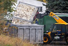Vogelgrippe in Brandenburg - Christophe Gateau/dpa