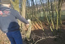 nl_do_fuchskadaver02 - Sylvia Frevert