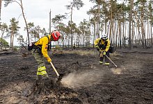 Zwei Feuerwehrfrauen in Brandenburg bearbeiten den Waldboden. M&uuml;ssen wir uns k&uuml;nftig an solche Bilder gew&ouml;hnen oder gibt es Wege, wie wir unsere W&auml;lder besser sch&uuml;tzen k&ouml;nnen? - Daniel Sch&auml;fer/dpa